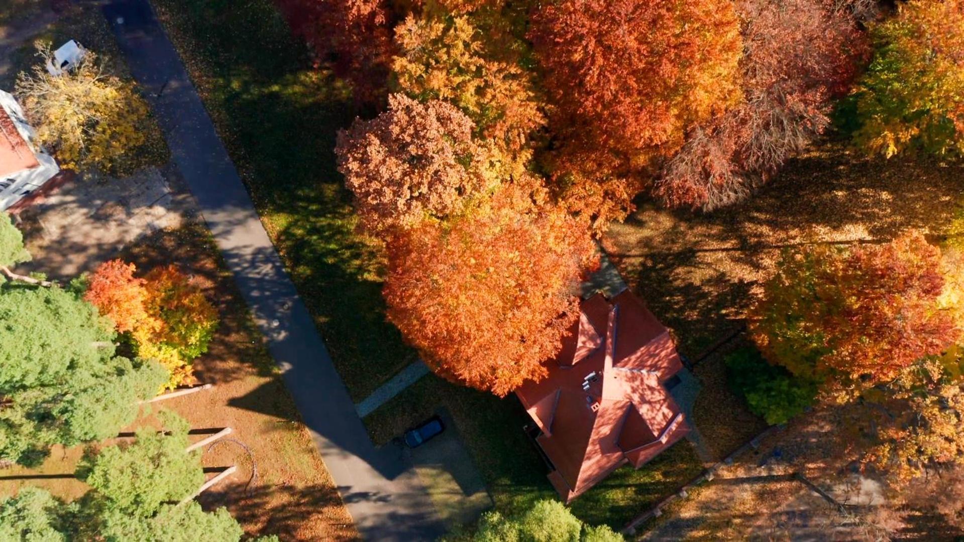 Parkresidenz Lychen, Ferienwohnung 4 Bagian luar foto